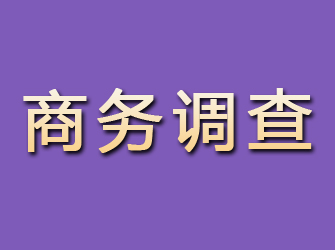 镇雄商务调查