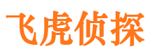 镇雄市调查公司